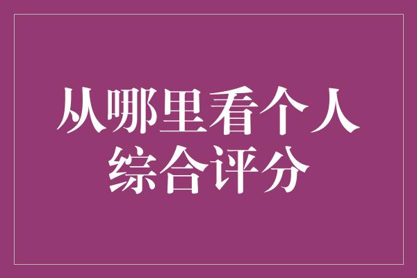 从哪里看个人综合评分