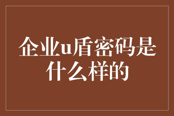 企业u盾密码是什么样的