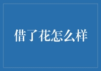 借了花，你家的猫是不是偷偷学会了插花艺术？