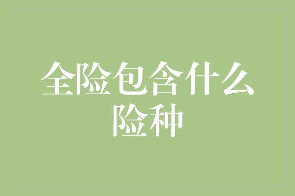 全险包含什么险种