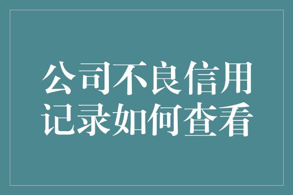 公司不良信用记录如何查看