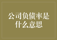 负债率？开玩笑吧，难道这是现代版的'欠债就是大爷'？