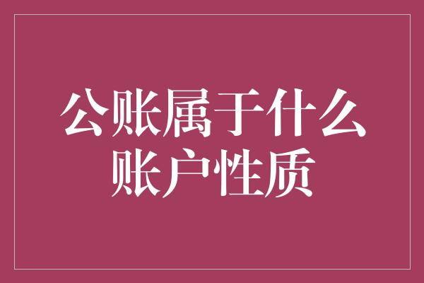 公账属于什么账户性质