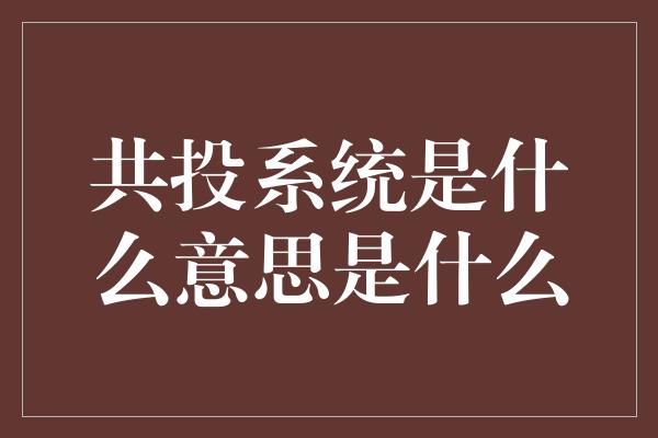 共投系统是什么意思是什么