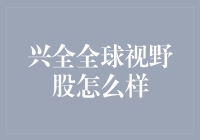 兴全全球视野股票基金：深度解析与投资建议