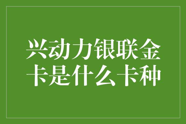 兴动力银联金卡是什么卡种