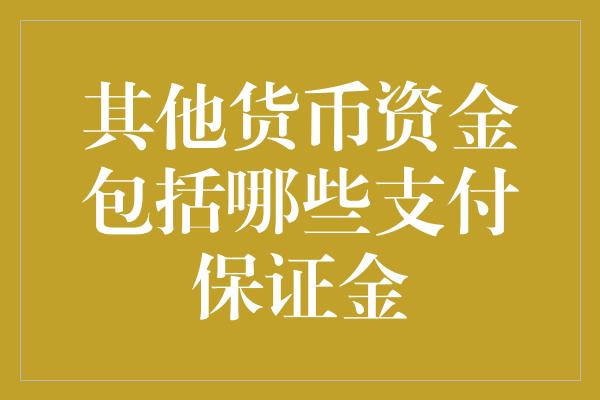 其他货币资金包括哪些支付保证金