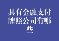 具有金融支付牌照公司有哪些：深度解析支付行业中的佼佼者