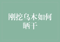 刚挖乌木如何晒干：从内而外的木你不知小知识