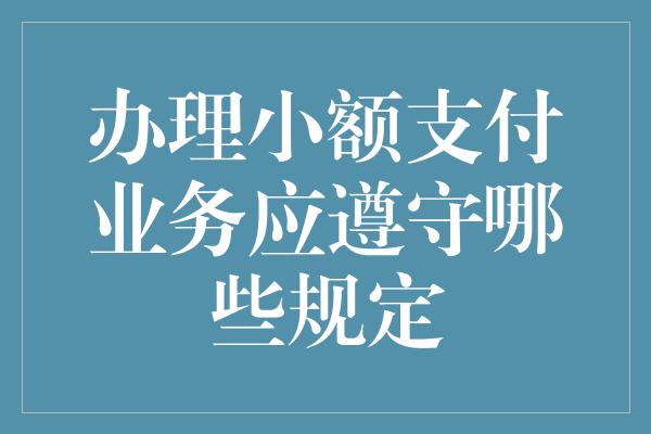 办理小额支付业务应遵守哪些规定