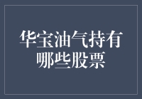 华宝油气到底持有了哪些宝贝？揭秘其投资组合！