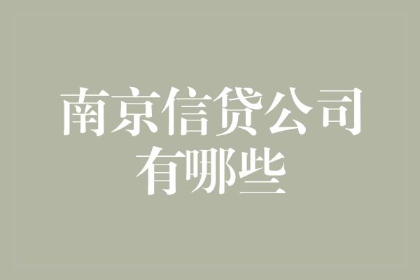 南京信贷公司有哪些