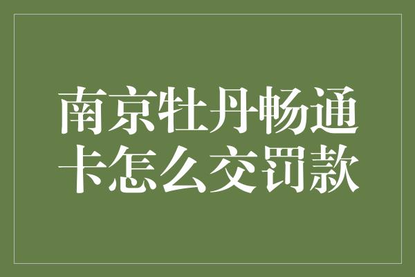 南京牡丹畅通卡怎么交罚款