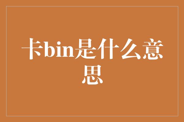 卡bin是什么意思