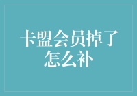 卡盟会员掉了？别慌，我的补救方案可能比你想象的更有趣