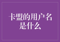 卡盟的用户名是什么？——探索神秘的虚拟身份