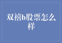 双禧b股票：探寻其市场表现与投资价值