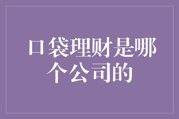 口袋理财是哪个公司的