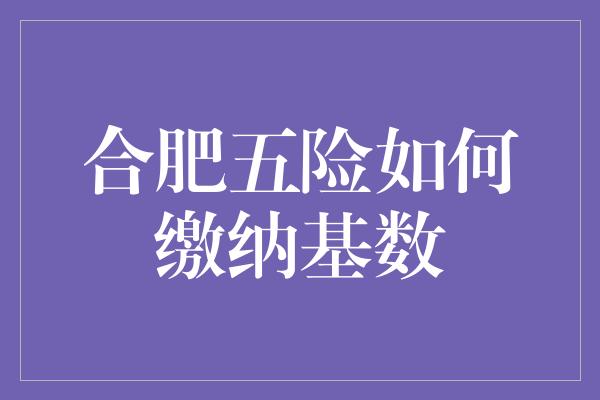 合肥五险如何缴纳基数