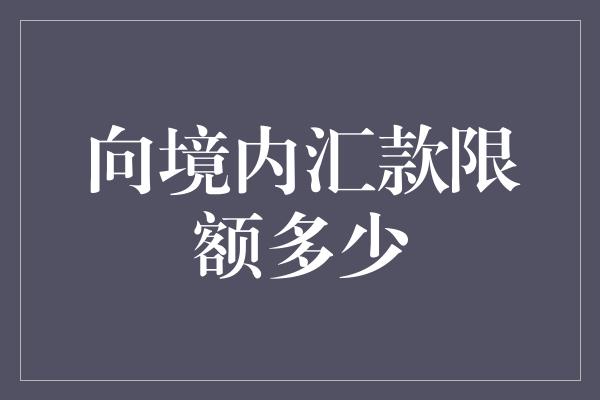 向境内汇款限额多少