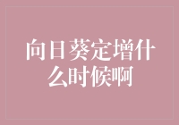 向日葵定增何时开启，引领行业新风向