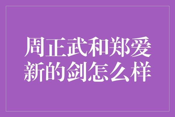 周正武和郑爱新的剑怎么样