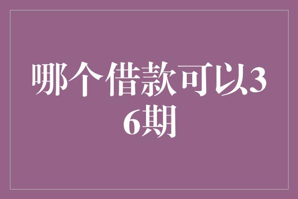 哪个借款可以36期