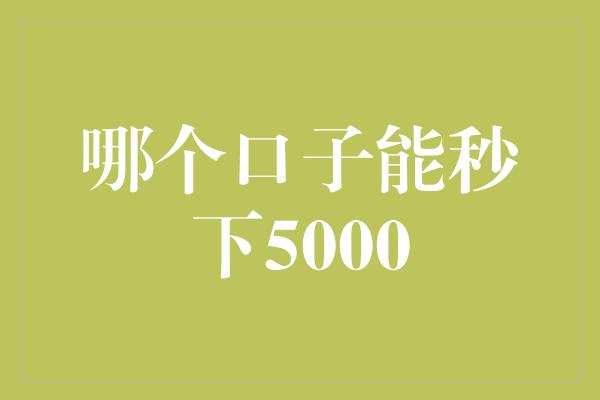 哪个口子能秒下5000