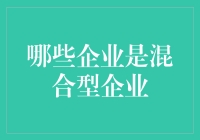 啥叫混合型企业？别告诉我你不知道！