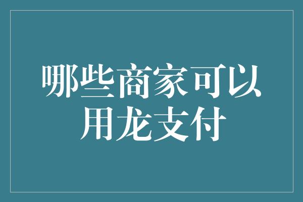 哪些商家可以用龙支付