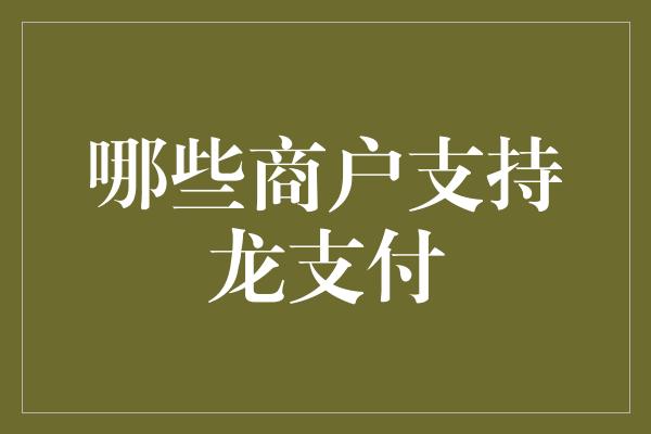 哪些商户支持龙支付