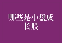 小盘成长股：站在风口上，谁能飞得更高？