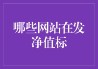 理财投资新视角：哪些网站在发净值标？