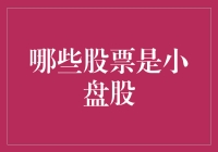 甄选小盘股：投资视角下的市场机遇与挑战