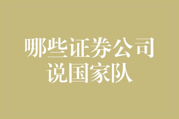 哪些证券公司说国家队