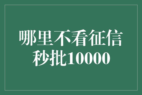 哪里不看征信秒批10000