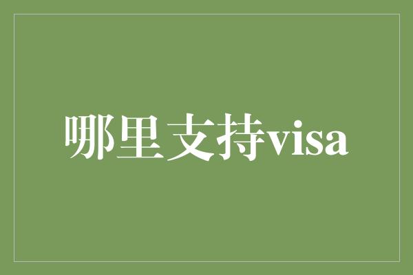 哪里支持visa