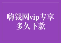 嘿钱网VIP专享，你猜多久能下款？