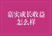 嘉实成长收益基金：业绩分析与投资策略