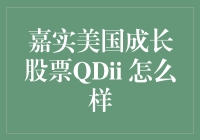 嘉实美国成长股票QDII基金解析与评估