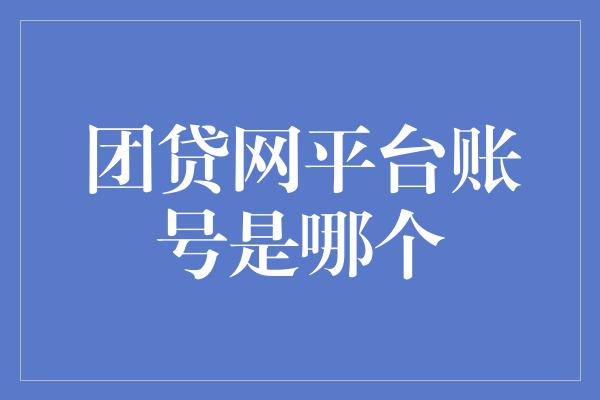 团贷网平台账号是哪个