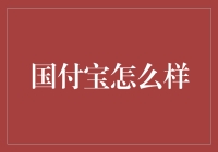 国付宝：连接支付之桥，支撑数字时代的经济脉络