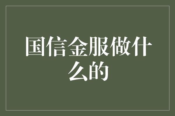 国信金服做什么的