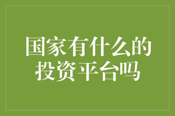 国家有什么的投资平台吗