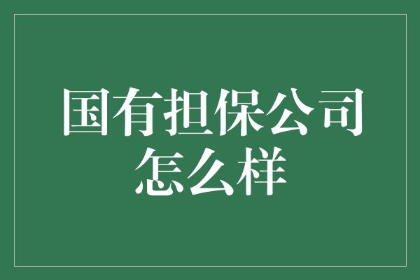 国有担保公司怎么样