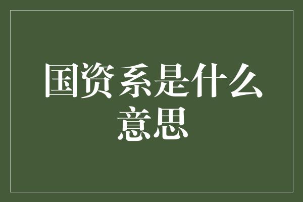 国资系是什么意思