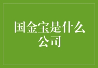 国金宝：探索中国金融科技的创新力量