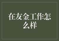 在友金工作怎么样：一份综合视角下的职场探索