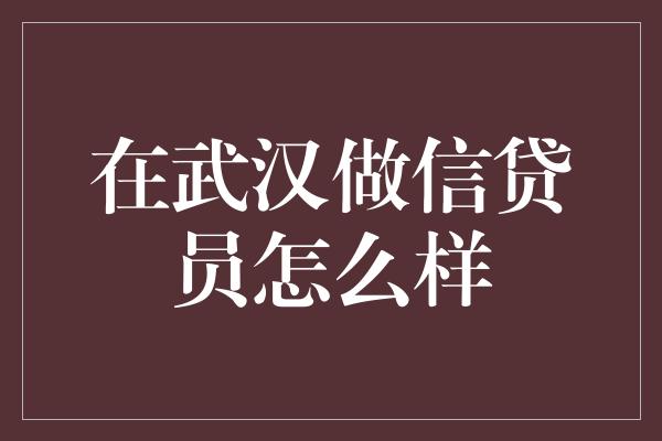 在武汉做信贷员怎么样