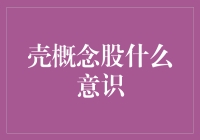 壳概念股：壳资源的内涵与价值意识探析